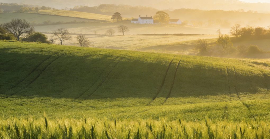 Oxford and Cambridge Travel Transportation Guide: Everything You Need to Know for a Smooth Trip Oxford and Cambridge Travel Transportation Guide: Everything You Need to Know for a Smooth Trip